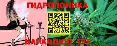 мдпв Моздок