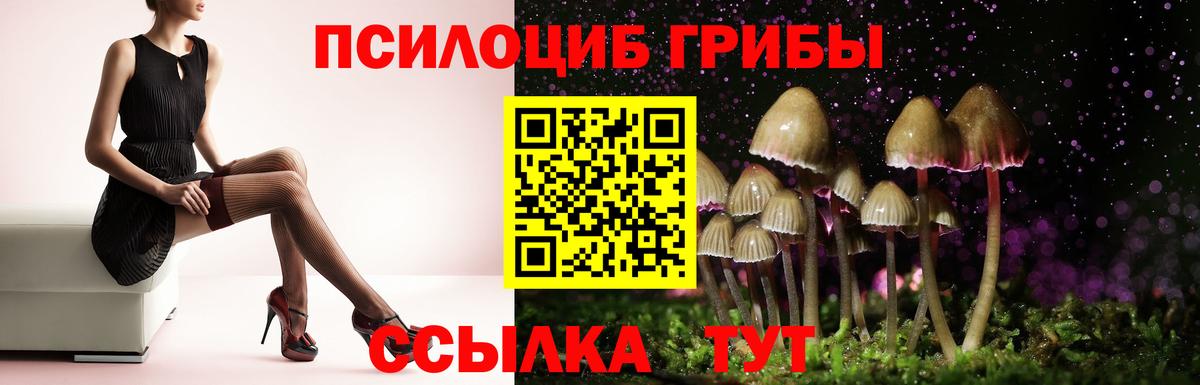 Галлюциногенные грибы ЛСД  Вход с VPN  Галлюциногенные грибы Cubensis  Усть-Джегута 